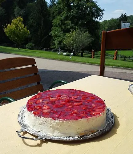 Kleins Wiese Gasthuis Schmallenberg